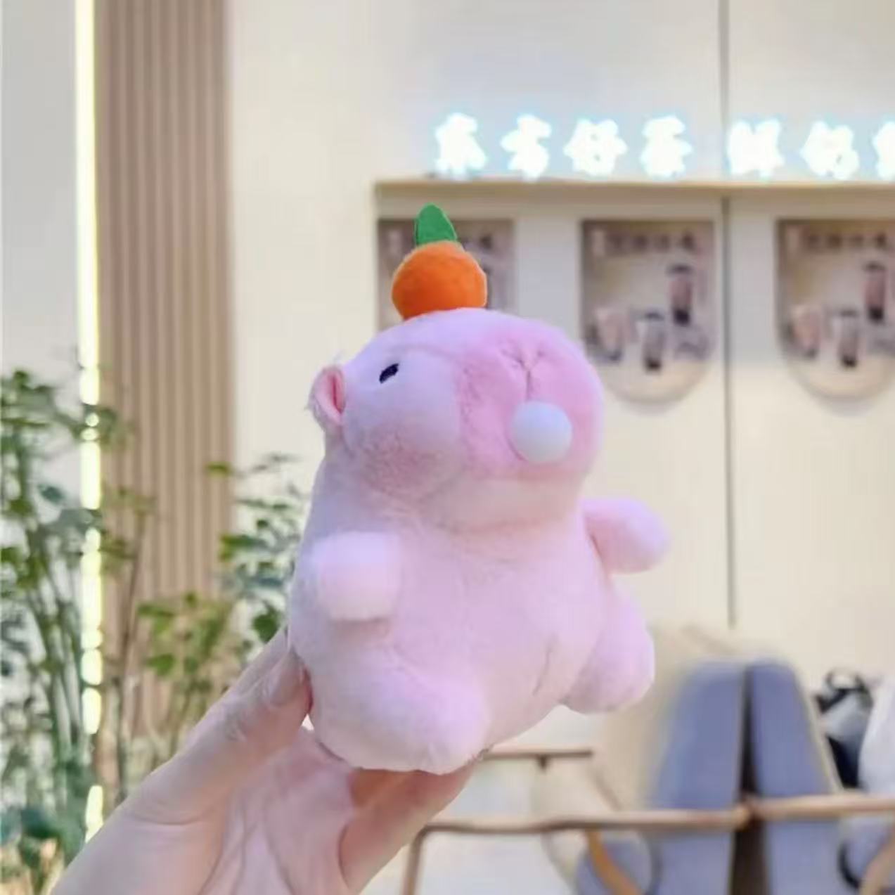 Kapiba that makes a sound when shaken